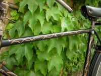 <CENTER>DUZ BIKE