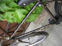 <CENTER>DUZ BIKE